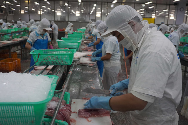Ngành chế biến thủy sản đã khôi phục công suất trên 80%