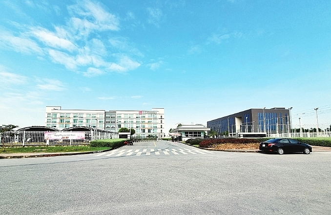 Ảnh minh họa. Nguồn: Internet