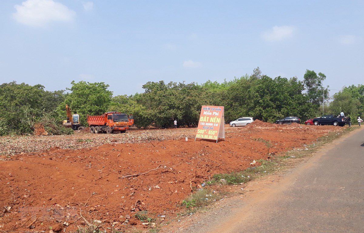 Ảnh minh họa. Nguồn: Internet