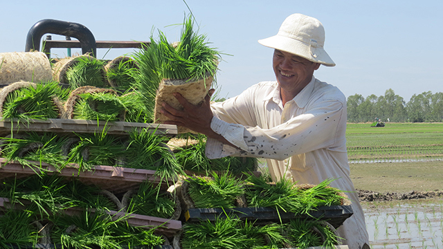 Hợp tác xã Dịch vụ nông nghiệp Mỹ Đông 2 - đơn vị điển hình tiên tiến ở lĩnh vực nông nghiệp của tỉnh Đpồng Tháp có nhiều sáng tạo trong sản xuất gắn với liên kết tiêu thụ sản phẩm. Ảnh: Mỹ Nhân