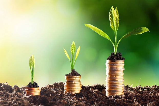 Thị trường chứng khoán năm 2022: Hãy săn mồi như hổ, kiên nhẫn chờ đợi!