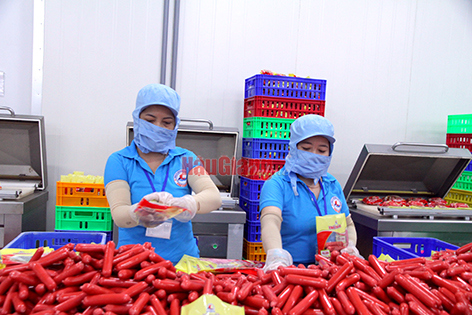 Cơ sở sản xuất hoạt động trở lại. Ảnh: H. Tâm