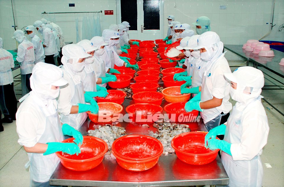Chế biến tôm xuất khẩu tại một công ty trên địa bàn TX.Giá Rai. Ảnh: T.A