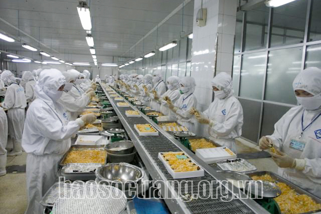 Doanh số xuất khẩu tôm cả nước nói chung và Sóc Trăng nói riêng trong 2 tháng đầu năm 2022 tăng mạnh so cùng kỳ. Ảnh: Tích Chu