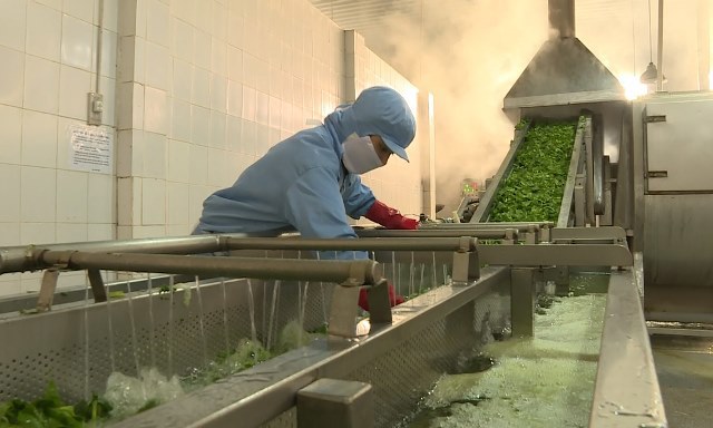 Ảnh minh họa. Nguồn: internet