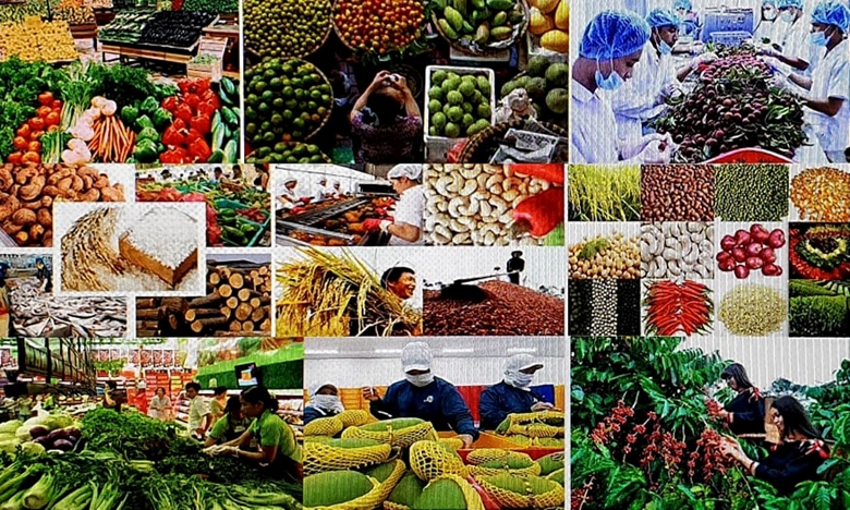 Ảnh minh họa. Nguồn: internet