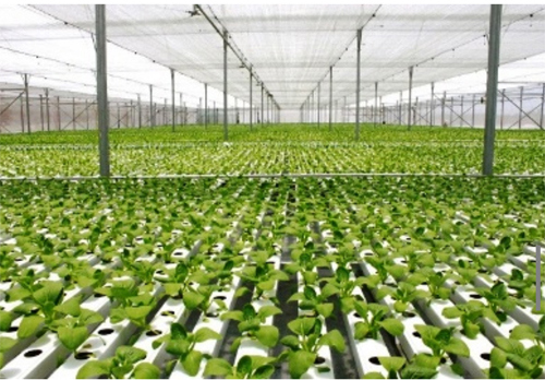 Ảnh minh họa: Nguồn internet