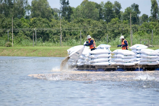 Ảnh minh họa. Nguồn: internet