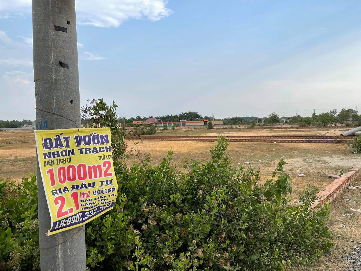 Ảnh minh họa. Nguồn: Internet