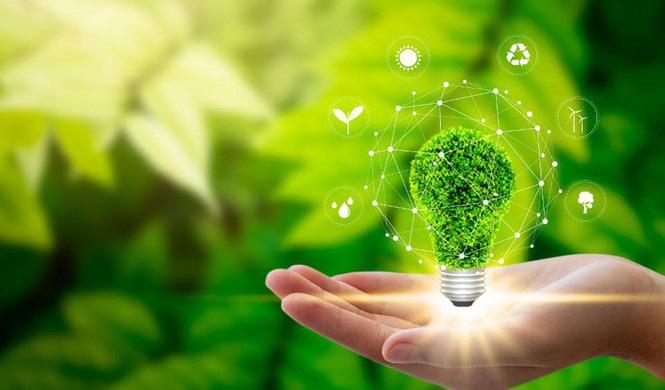 Ảnh minh họa. Nguồn: Internet