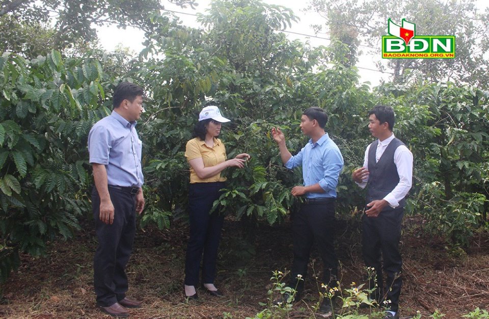 Kinh tế tập thể đang giữ vai trò dẫn dắt phát triển ngành nông nghiệp