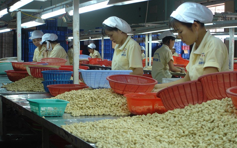 Doanh nghiệp gặp khó trong tìm đơn hàng xuất khẩu hàng hóa.