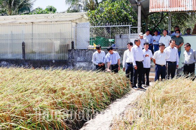 Các chương trình, dự án do Canada hỗ trợ đã tạo sự thay đổi toàn diện cho doanh nghiệp. Ảnh: Quang Bình