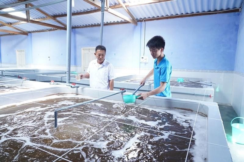 Ảnh minh họa. Nguồn: Internet