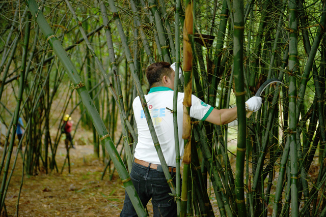 Thông qua hoạt động chôn lấp tre, JTI Việt Nam đã bù đắp 202 tấn carbon phát thải