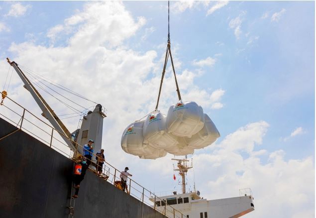  Dự báo xuất khẩu gạo sẽ gặp nhiều yếu tố thuận lợi trong cả năm 2022. Ảnh LT 