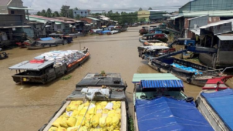 Ảnh minh hoạ. Nguồn: internet