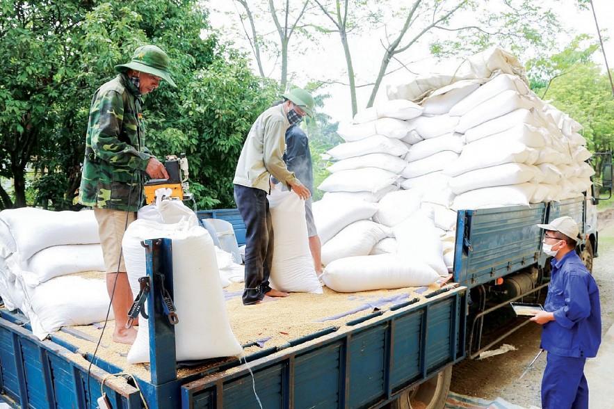 Đối với các đơn vị đang thực hiện nhập, xuất hàng dự trữ quốc gia, Cục trưởng Cục DTNN khu vực chủ động có kế hoạch triển khai thực hiện nhập, xuất hàng đảm bảo an toàn tuyệt đối về người, tài sản và chất lượng .