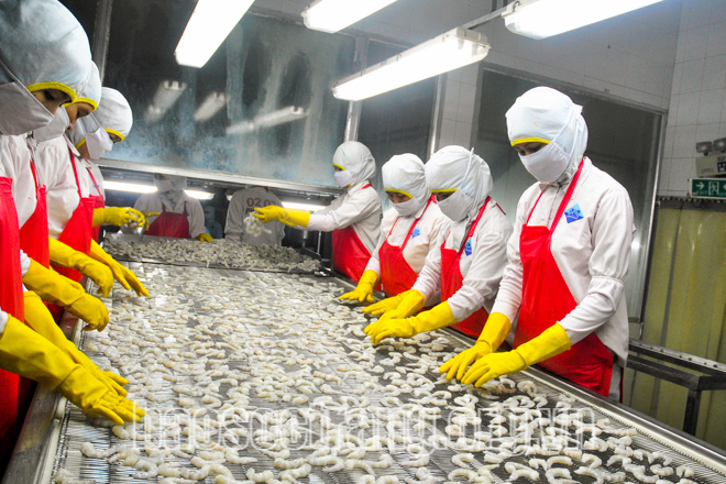 Chế biến thủy sản vẫn còn một số công đoạn phải làm thủ công do thiếu thiết bị, máy móc phù hợp. Ảnh: Tích Chu