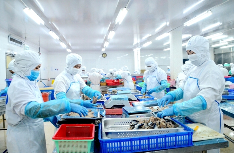 Chế biến hải sản ở TP. Vũng Tàu. Ảnh: Báo BRVT)