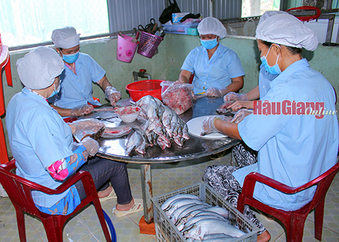 Đổi mới hình thức tổ chức sản xuất, sáng tạo về sản phẩm OCOP. Ảnh: H. Tâm