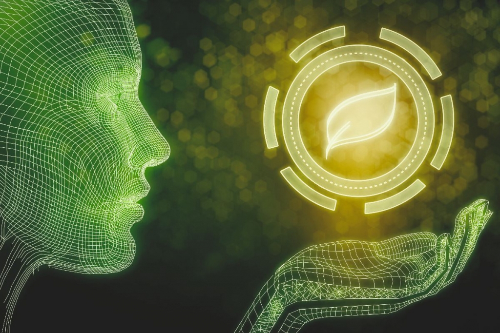 Hình minh họa. Nguồn: Internet