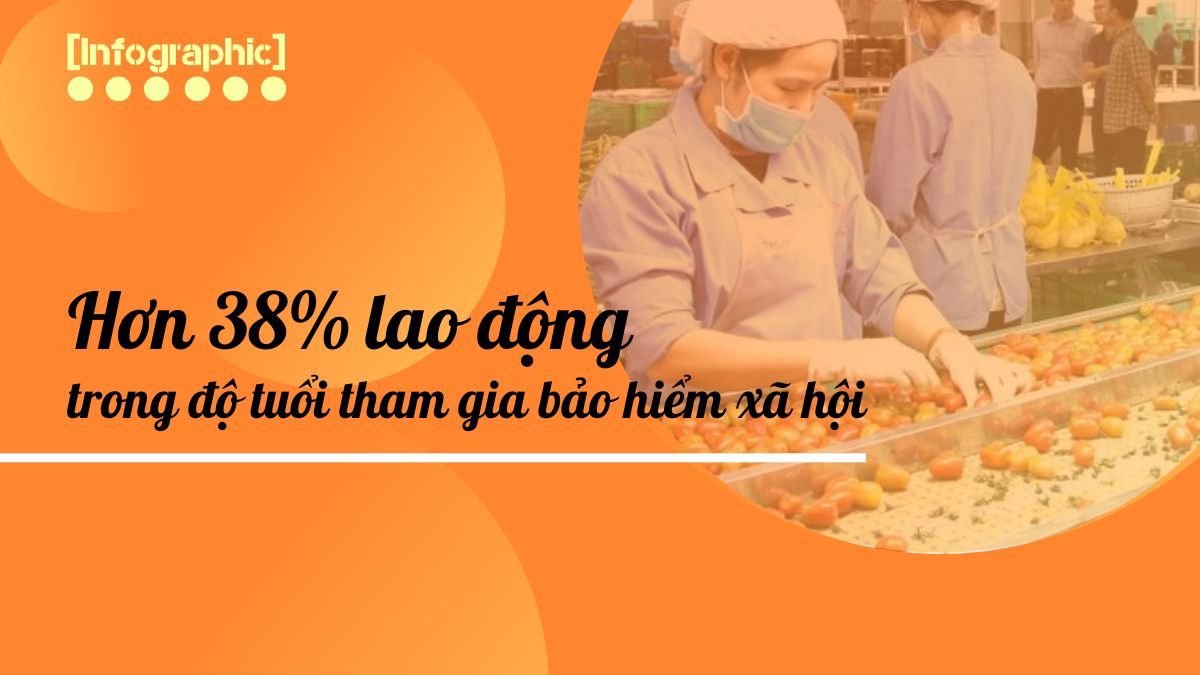 Hơn 38% lao động trong độ tuổi tham gia bảo hiểm xã hội