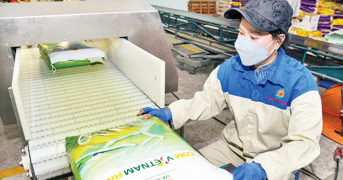 Công ty cổ phần Tập đoàn Lộc Trời xuất khẩu gạo Cơm Việt Nam Rice sang nhiều nước châu Âu. Ảnh: Nguyên Bình.