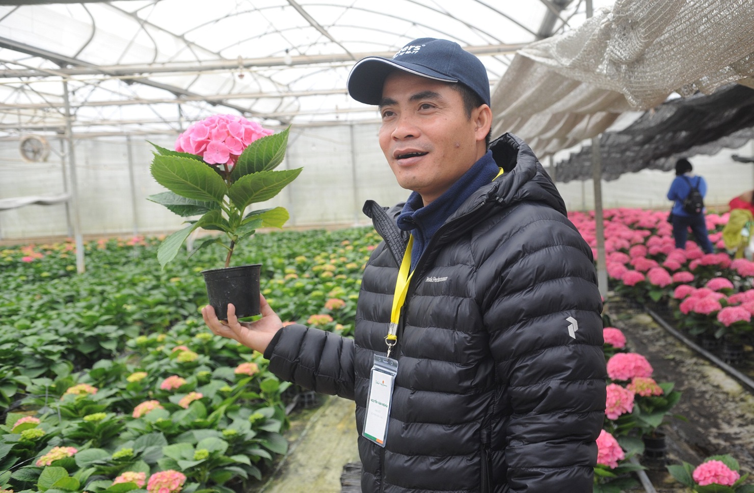 Anh Nguyễn Văn Nghĩa, Giám đốc bộ phận hoa chậu. Ảnh: Công Hùng