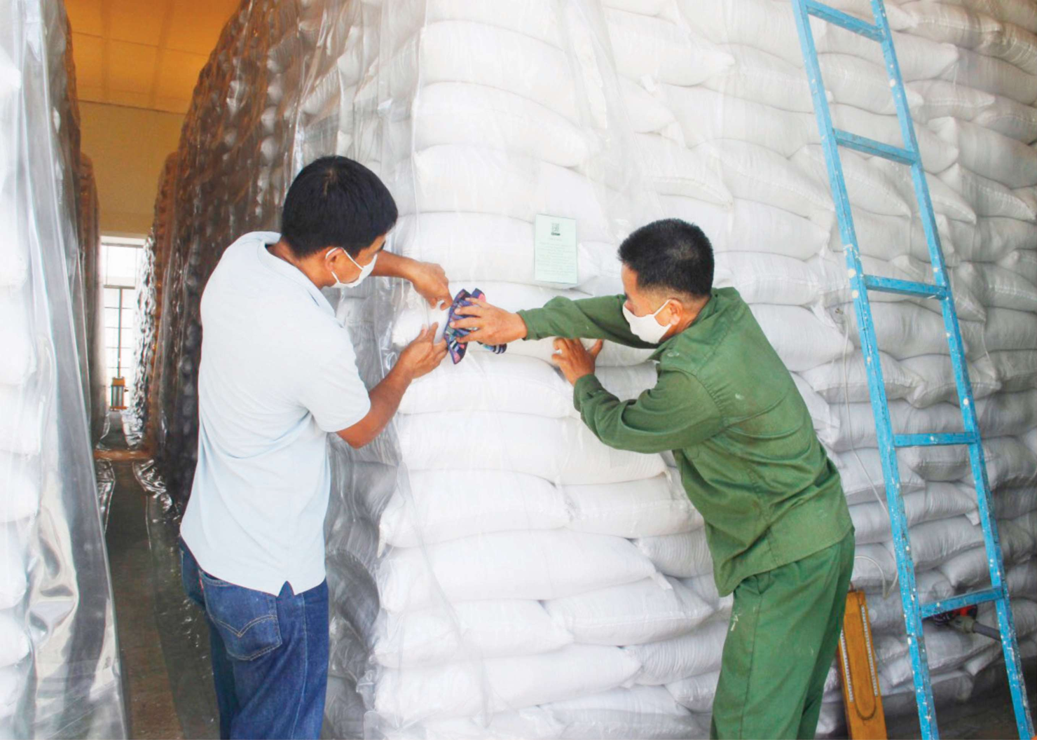 Cục DTNN khu vực Nam Tây Nguyên áp dụng các kỹ thuật hiện đại, công nghệ bảo quản tiên tiến nhằm nâng cao chất lượng và kéo dài thời gian lưu kho hàng DTQG