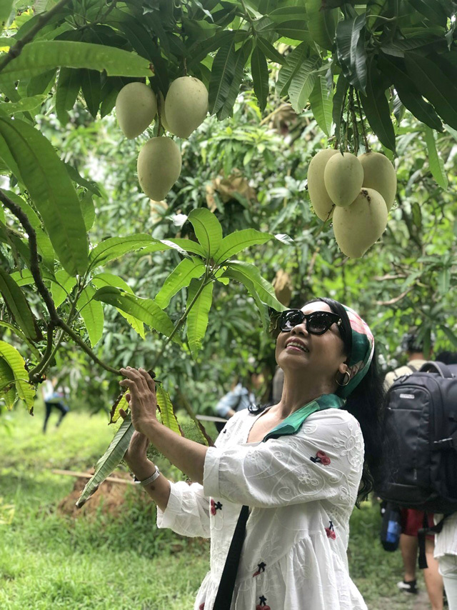 Du khách thích thú chụp ảnh tại vườn xoài. Ảnh: MN