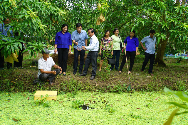 Du khách trải nghiệm hoạt động bắt ốc tại vườn xoài Ba Hậu. Ảnh: MN