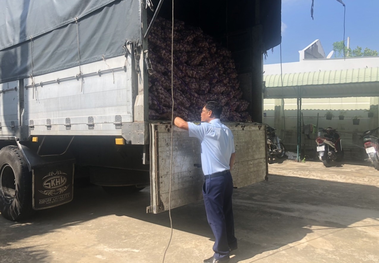 Thu giữ 10 tấn củ tỏi tươi có nhãn gốc bằng tiếng nước ngoài nhưng không có nhãn phụ bằng tiếng Việt Nam.
