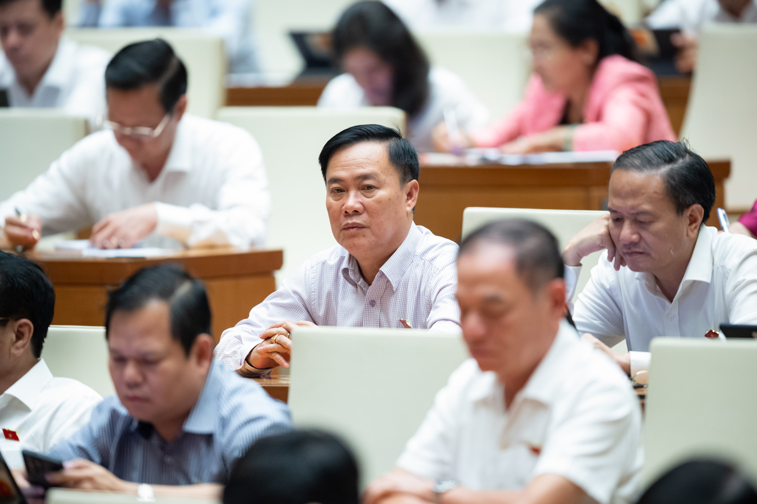 Các đại biểu Quốc hội dự phiên họp.