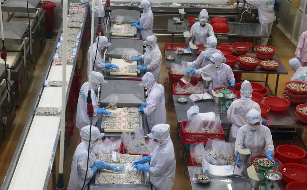 Agribank triển khai chương trình tín dụng 3.000 tỷ đồng để hỗ trợ khách hàng hoạt động trong lĩnh vực lâm sản, thủy sản. Nguồn: Agribank.