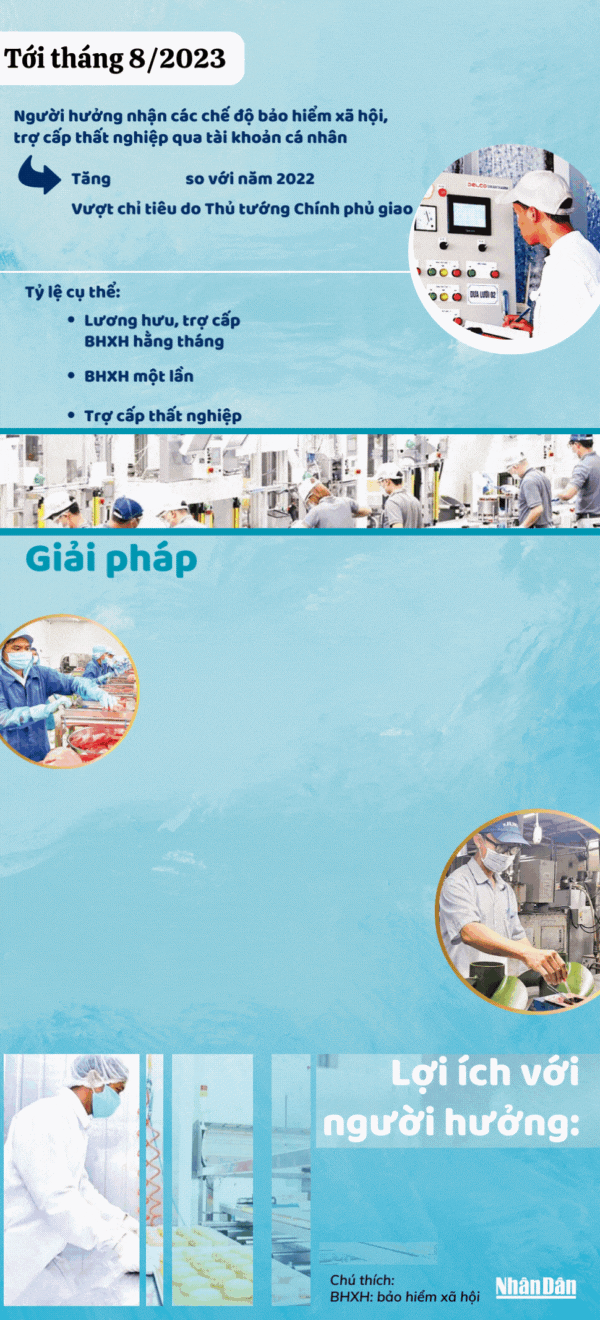 Khoảng 62% người ở đô thị nhận chế độ bảo hiểm xã hội, trợ cấp thất nghiệp qua tài khoản cá nhân - Ảnh 1