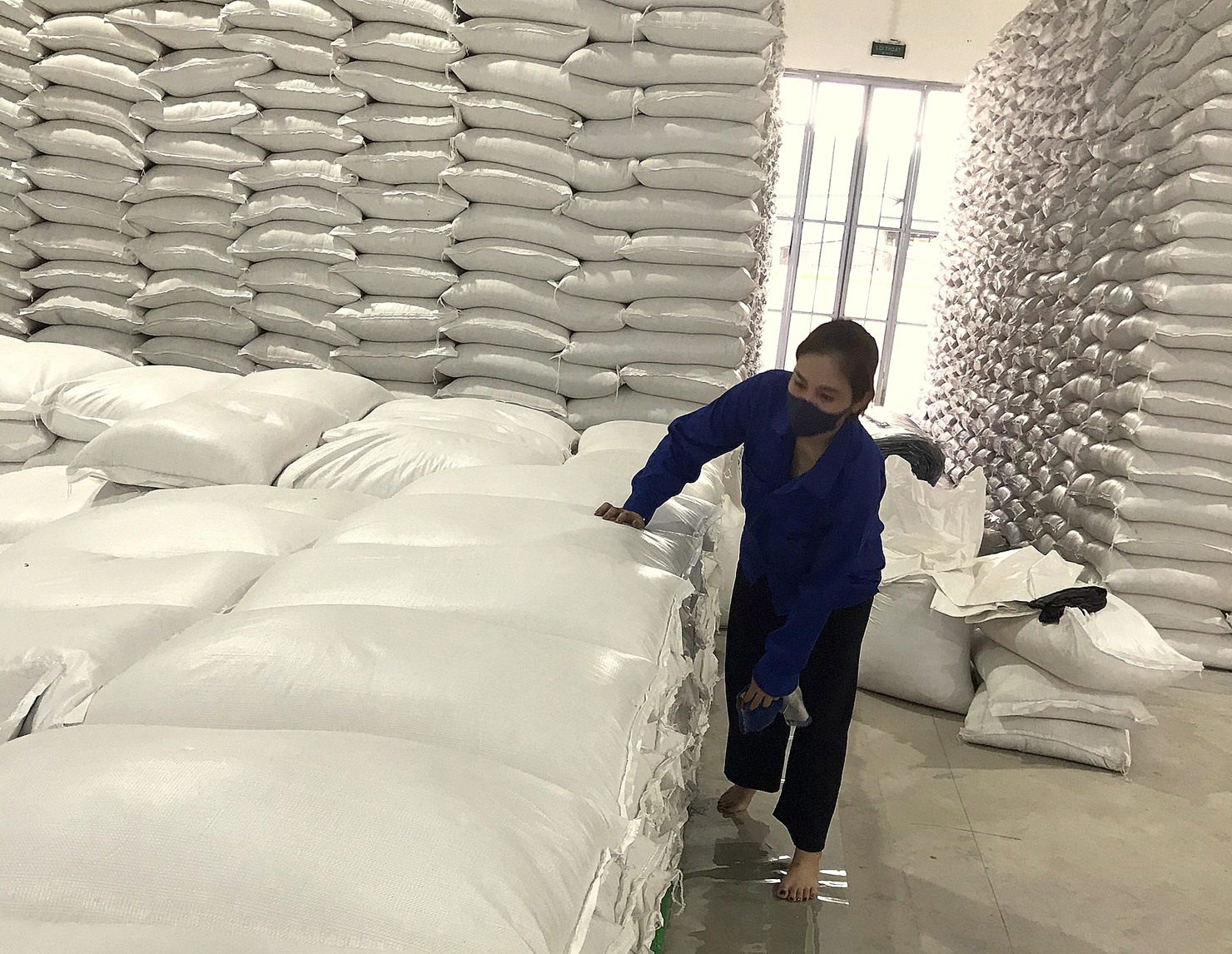 Công tác bảo quản lương thực được Cục DTNN khu vực Đông Bắc thực hiện chặt chẽ từ khâu kiểm tra chất lượng trước khi nhập kho đến các quy trình bảo quản khoa học. 