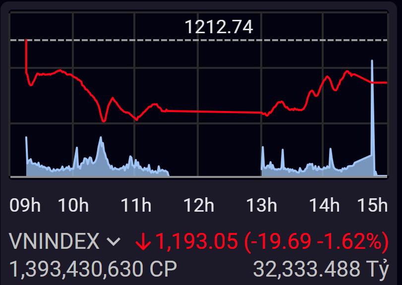 Thị trường chìm sâu trong sắc đỏ do lực bán quá mạnh.