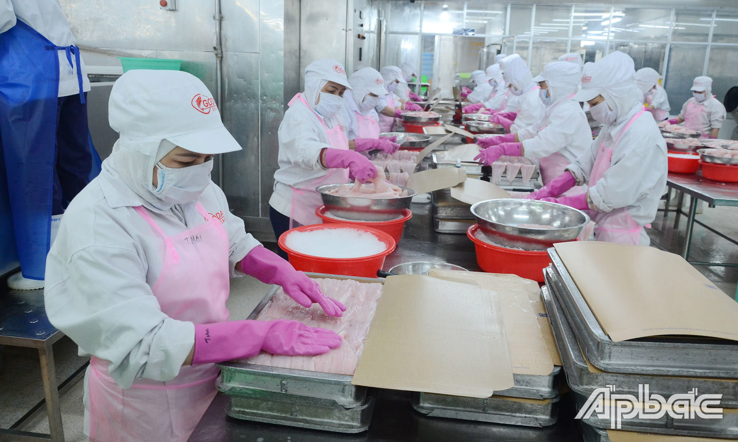 Công ty cổ phần Gò Đàng duy trì hoạt động sản xuất, kinh doanh trong điều kiện khó khăn. Ảnh: M. Thành