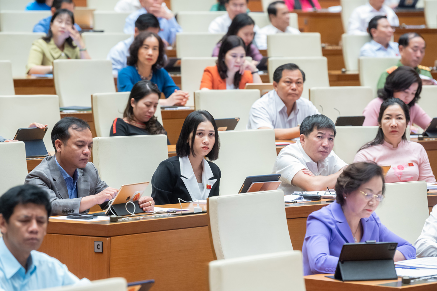 Các đại biểu Quốc hội tại phiên thảo luận.