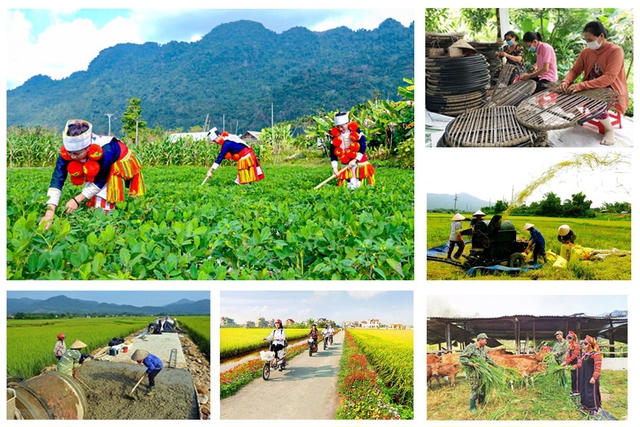 Năm 2022, tỷ lệ hộ nghèo giảm 1,17% và ước thực hiện năm 2023 giảm 1,1%, tỷ lệ giảm nghèo dân tộc thiểu số giảm trên 3%, đạt và vượt mục tiêu Nghị quyết Đại hội Đảng XIII đã đề ra.