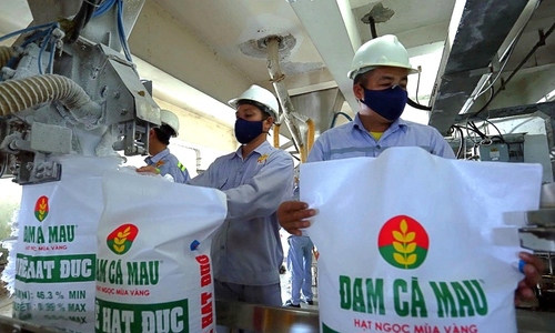 So với cùng kỳ năm ngoái, bức tranh lợi nhuận của các doanh nghiệp phân bón có sự phân hóa khá mạnh.