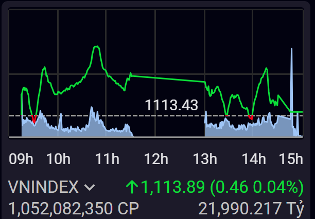 Áp lực giảm điểm của nhóm VN30 tiếp tục khiến VN-Index rung lắc mạnh.
