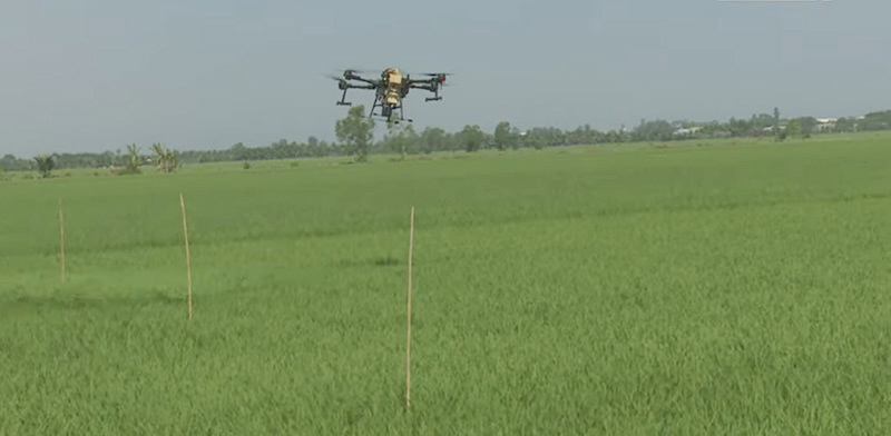 Sử dụng thiết bị bay phun phân, thuốc tại Hợp tác xã Dịch vụ nông nghiệp Bình Thành (xã Bình Thành, huyện Lấp Vò). Ảnh: TN