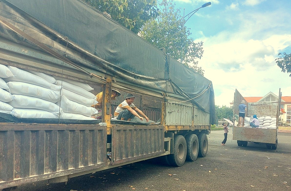 Đến ngày 8/11/2023, Cục DTNN khu vực Đông Nam Bộ đã hoàn thành giao nhận 129,15 tấn gạo DTQG hỗ trợ học học kỳ I năm học 2023-2024 cho tỉnh Bình Phước.