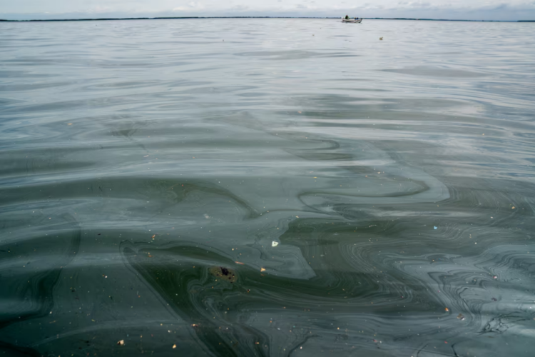 Vết dầu loang ở vùng biển Vịnh Manila, Philippines. (Ảnh: Reuters)