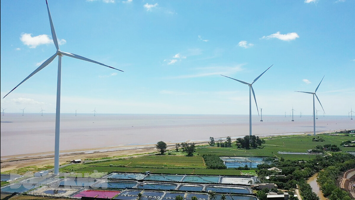 Bến Tre phát huy lợi thế phát triển điện gió. Ảnh minh họa: Báo Đồng Khởi