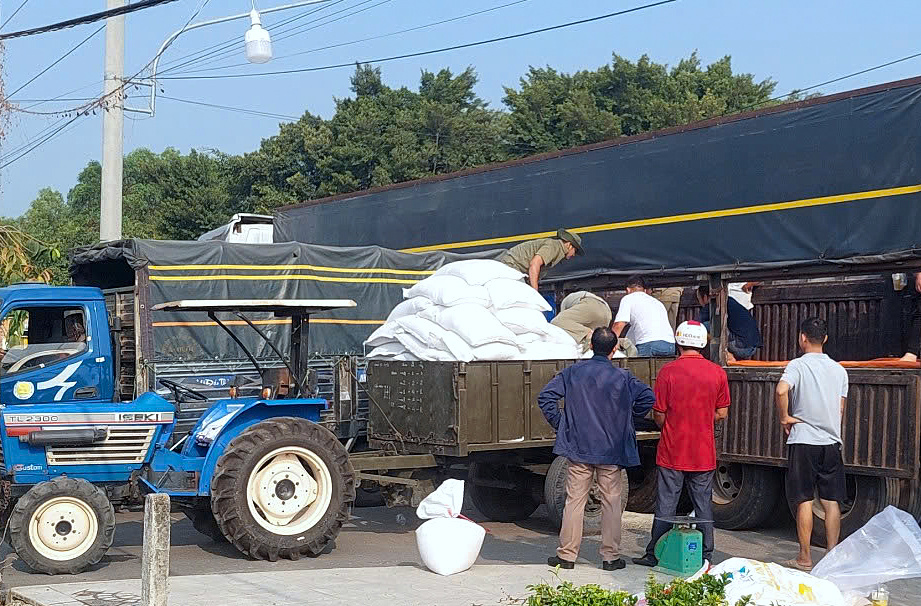 Đến nay, Cục DTNN khu vực Đông Nam Bộ đã xuất cấp 126,825 tấn gạo DTQG hỗ trợ học sinh tỉnh Bình Phước, hoàn thành 100% kế hoạch được giao.