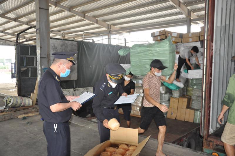 10 tháng năm 2024, Hải quan Thanh Hóa đã phối hợp với các đơn vị kiểm tra, xử phạt 87 trường hợp vi phạm hành chính trong lĩnh vực xuất nhập khẩu.