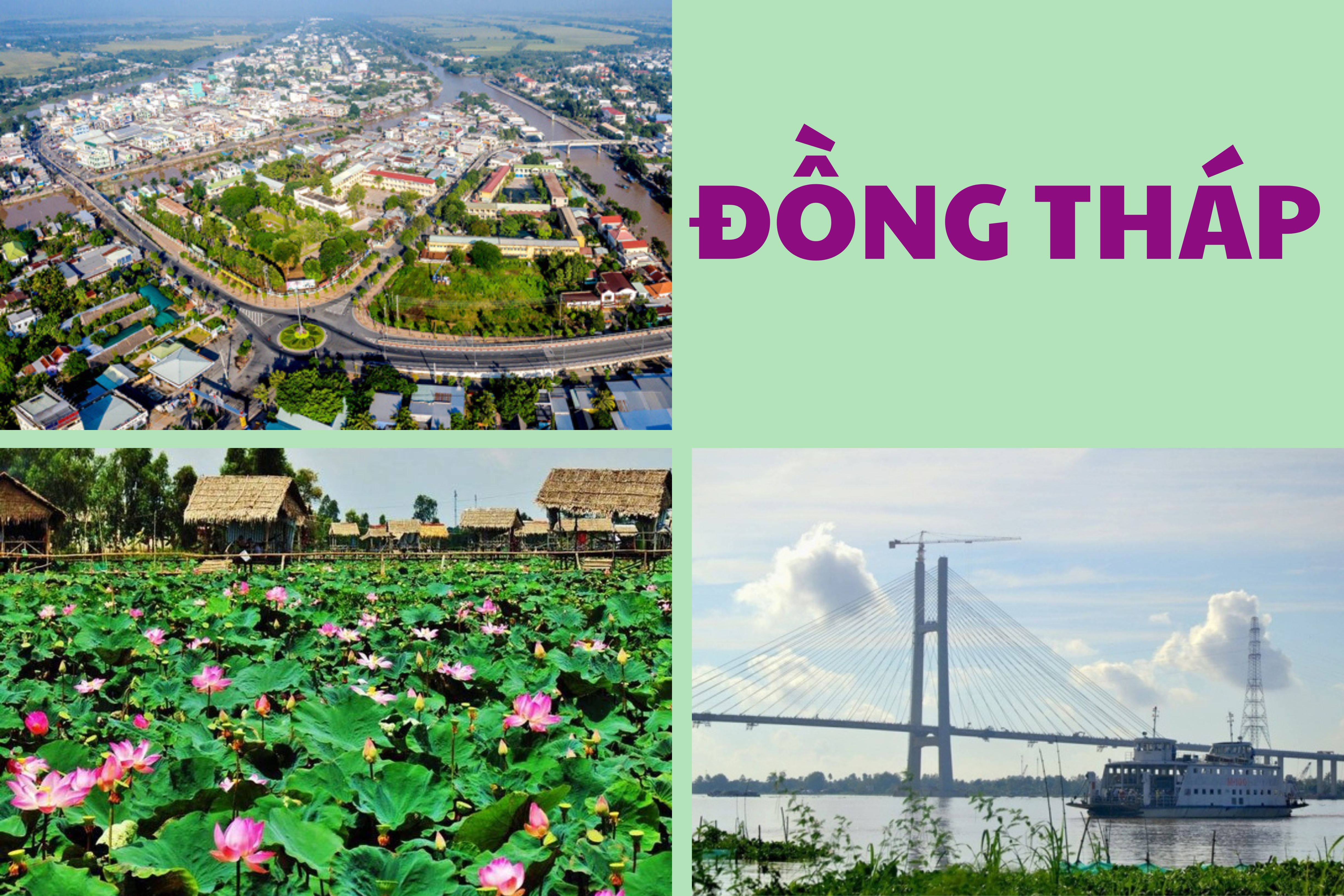 Đồng Tháp thu thập thông tin hơn 4.000 doanh nghiệp trên địa bàn